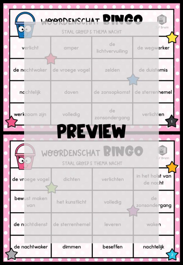 STAAL 2 WOORDENSCHATBINGO GROEP 5 THEMA NACHT - Afbeelding 2