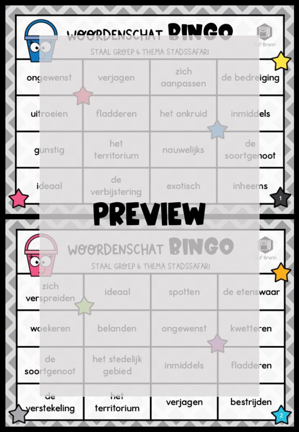 STAAL 2 WOORDENSCHATBINGO GROEP 6 THEMA STADSSAFARI - Afbeelding 2