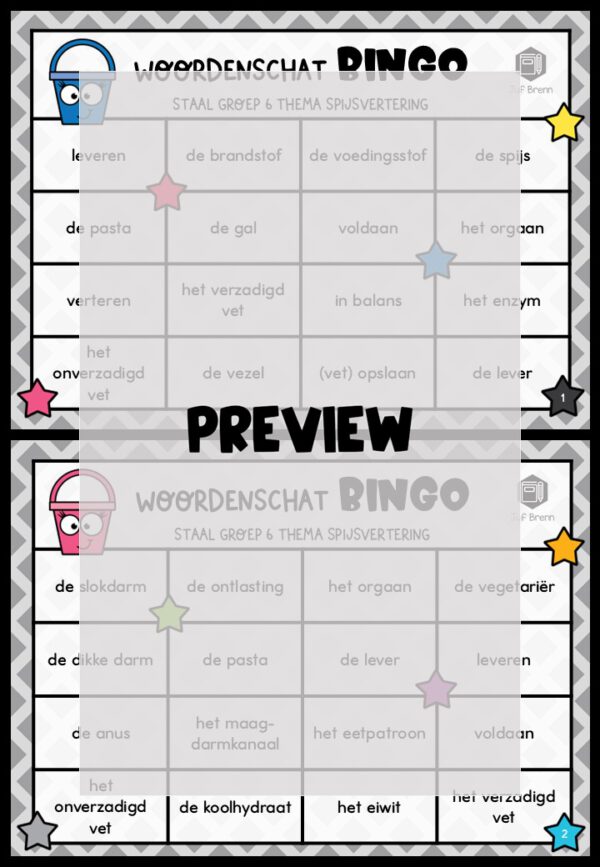 STAAL 1 WOORDENSCHATBINGO GROEP 6 THEMA SPIJSVERTERING - Afbeelding 2