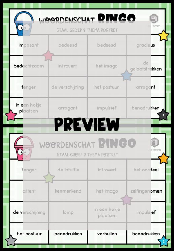 STAAL 1 WOORDENSCHATBINGO GROEP 8 THEMA PORTRET - Afbeelding 2