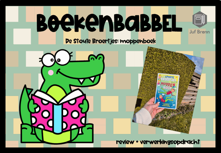BOEKENBABBEL: DE STOUTE BROERTJES MOPPENBOEK