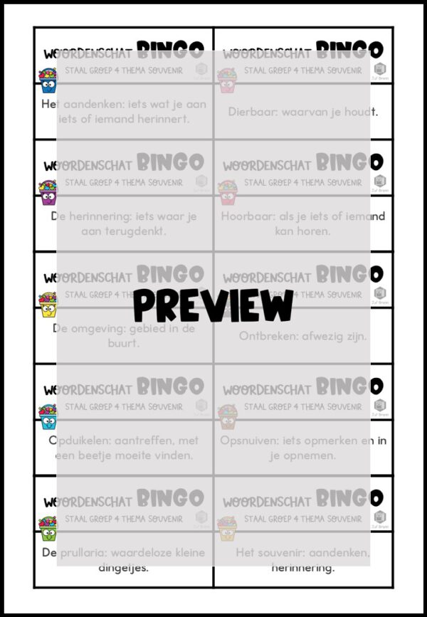 STAAL 2 WOORDENSCHATBINGO GROEP 4 THEMA SOUVENIR - Afbeelding 3