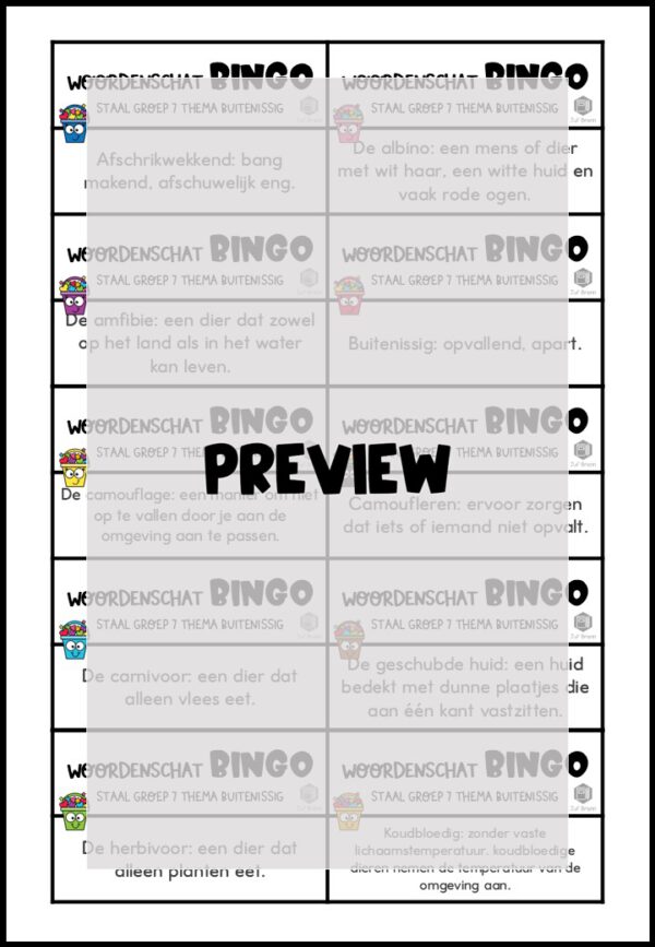 STAAL 1 WOORDENSCHATBINGO GROEP 7 THEMA BUITENISSIG - Afbeelding 3