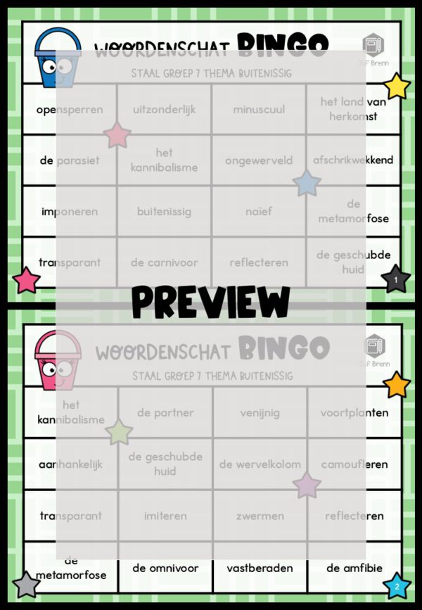 STAAL 1 WOORDENSCHATBINGO GROEP 7 THEMA BUITENISSIG - Afbeelding 2