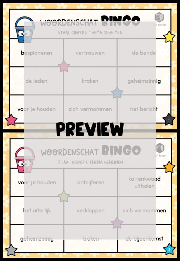 STAAL 1 WOORDENSCHATBINGO GROEP 5 THEMA GEHEIMEN - Afbeelding 2
