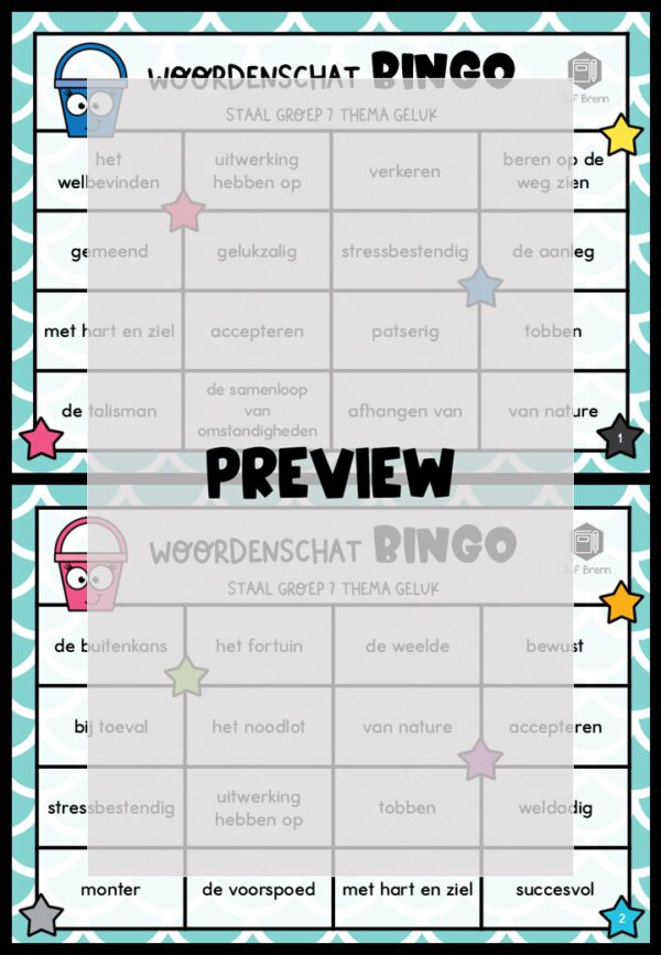 STAAL 1 WOORDENSCHATBINGO GROEP 7 THEMA GELUK - Afbeelding 2