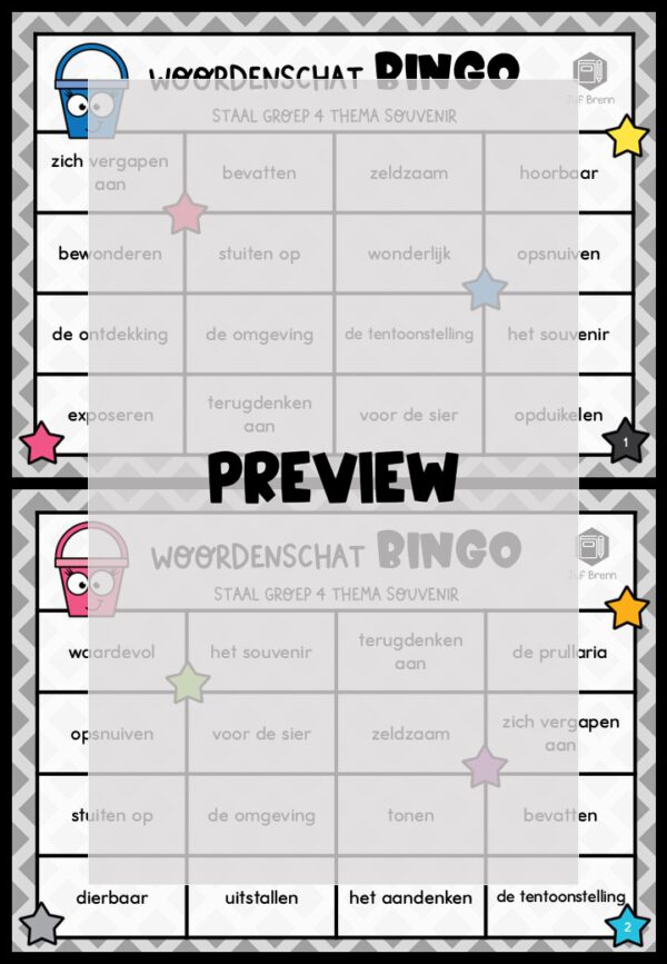 STAAL 2 WOORDENSCHATBINGO GROEP 4 THEMA SOUVENIR - Afbeelding 2