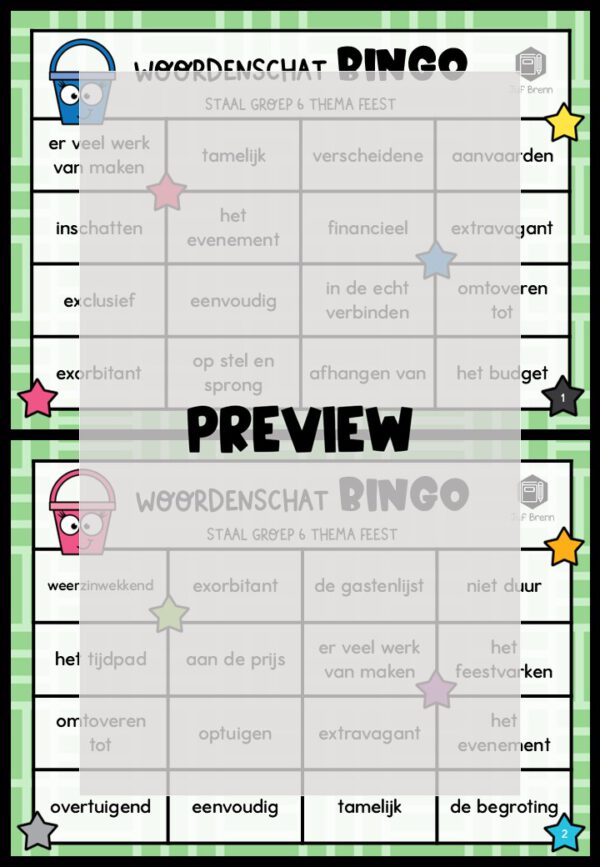 STAAL 2 WOORDENSCHATBINGO GROEP 6 THEMA FEEST - Afbeelding 2