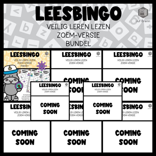 LEESBINGO VEILIG LEREN LEZEN ZOEM (GROEI)BUNDEL