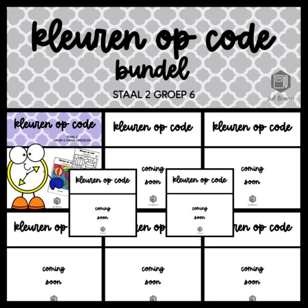 STAAL 2 WOORDENSCHAT KLEUREN OP CODE (GROEI)BUNDEL GROEP 6
