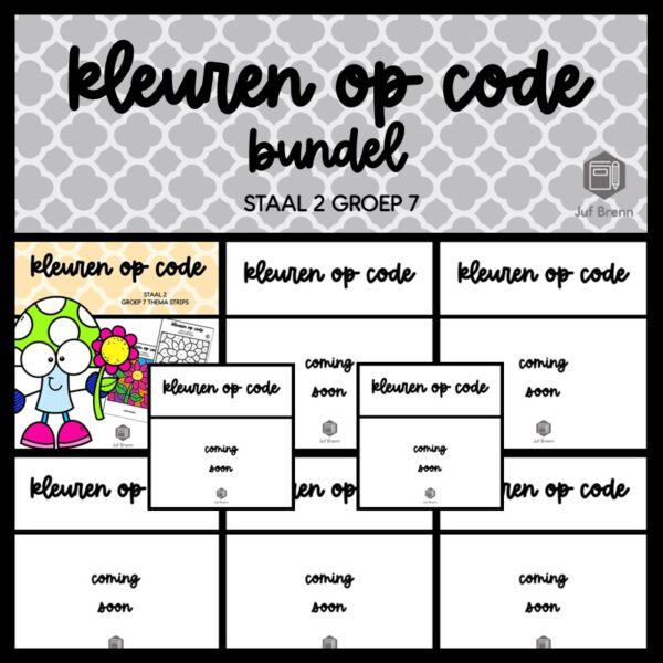 STAAL 2 WOORDENSCHAT KLEUREN OP CODE (GROEI)BUNDEL GROEP 7