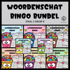 STAAL 2 WOORDENSCHAT BINGO BUNDEL GROEP 8