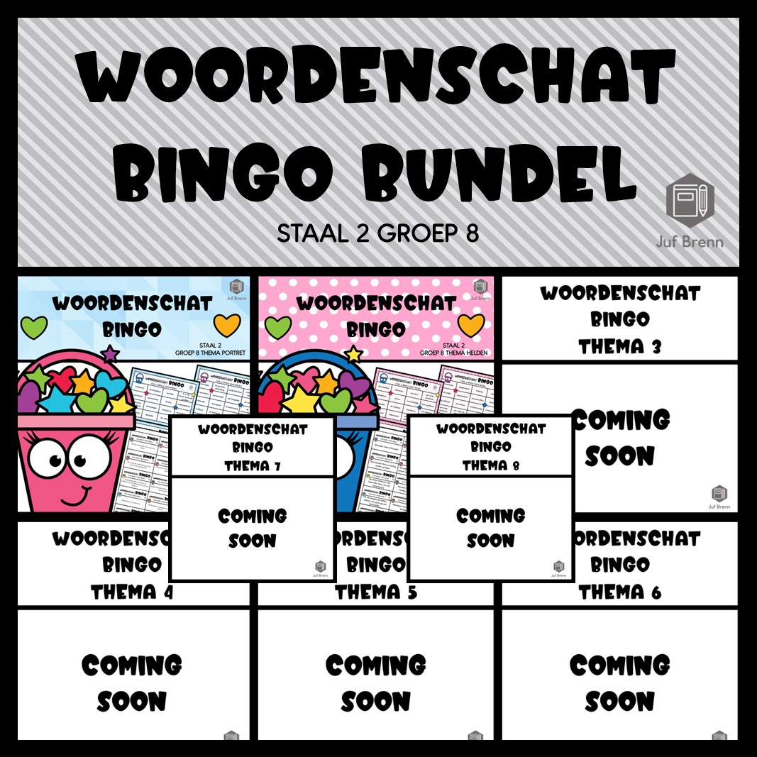 STAAL 2 WOORDENSCHAT BINGO BUNDEL GROEP 8