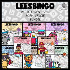 LEESBINGO VEILIG LEREN LEZEN ZOEM BUNDEL