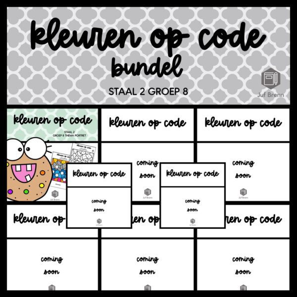 STAAL 2 WOORDENSCHAT KLEUREN OP CODE (GROEI)BUNDEL GROEP 8