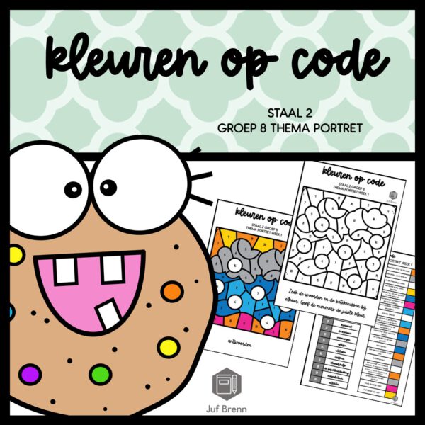 STAAL 2 WOORDENSCHAT KLEUREN OP CODE GROEP 8 THEMA PORTRET