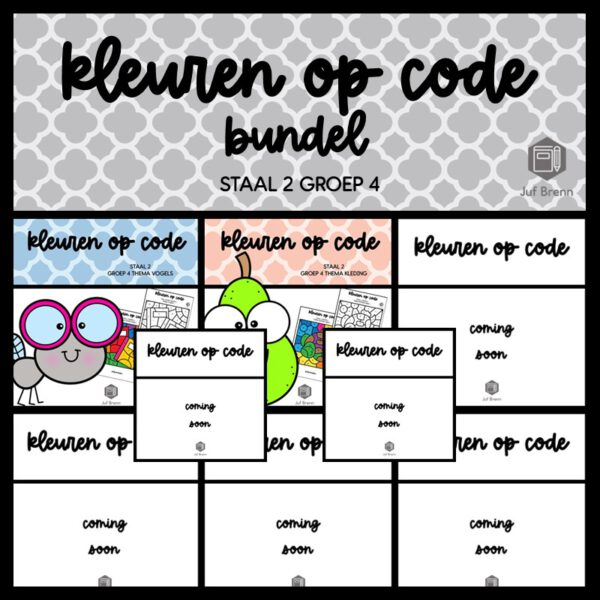 STAAL 2 WOORDENSCHAT KLEUREN OP CODE (GROEI)BUNDEL GROEP 4