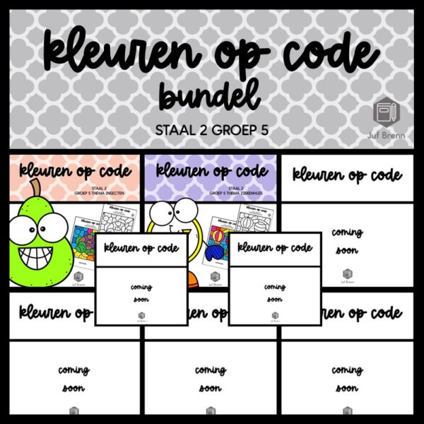 STAAL 2 WOORDENSCHAT KLEUREN OP CODE (GROEI)BUNDEL GROEP 5
