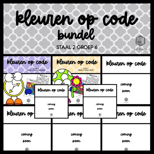 STAAL 2 WOORDENSCHAT KLEUREN OP CODE (GROEI)BUNDEL GROEP 6