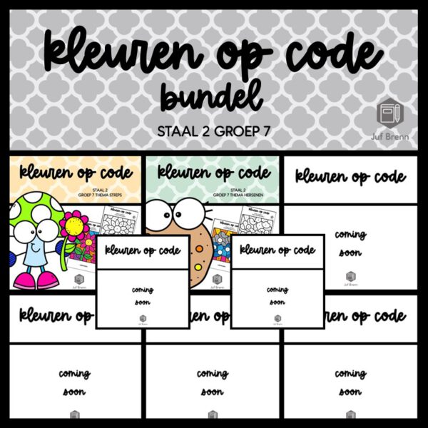 STAAL 2 WOORDENSCHAT KLEUREN OP CODE (GROEI)BUNDEL GROEP 7