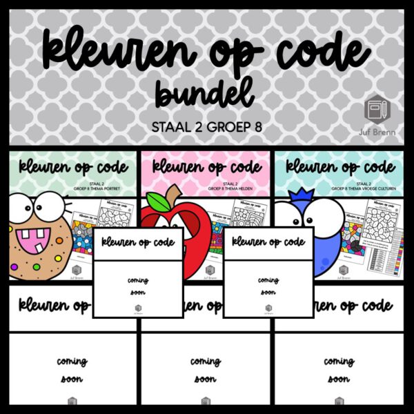 STAAL 2 WOORDENSCHAT KLEUREN OP CODE (GROEI)BUNDEL GROEP 8