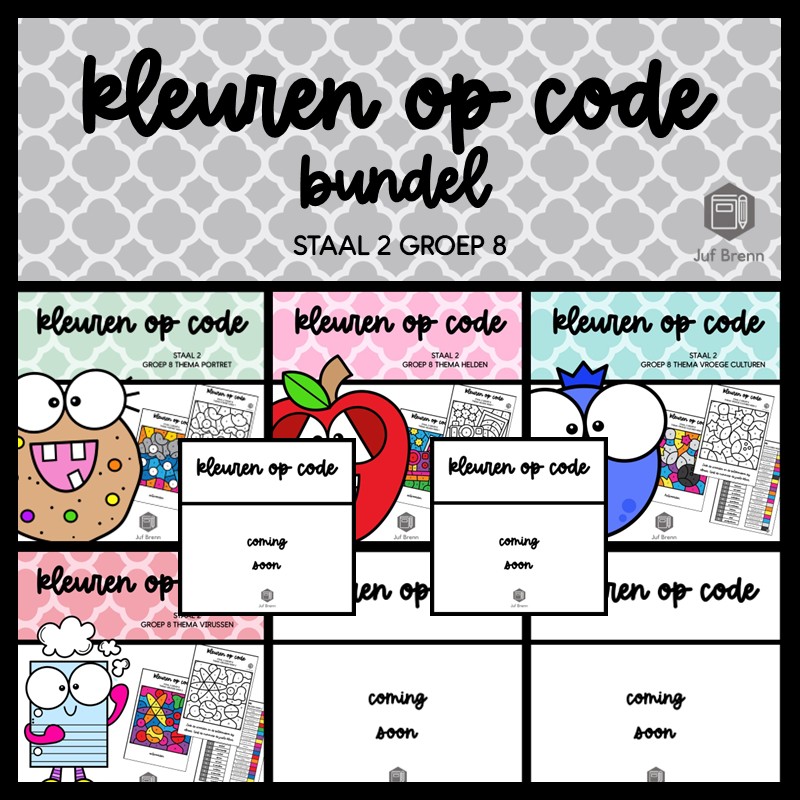 STAAL 2 WOORDENSCHAT KLEUREN OP CODE (GROEI)BUNDEL GROEP 8