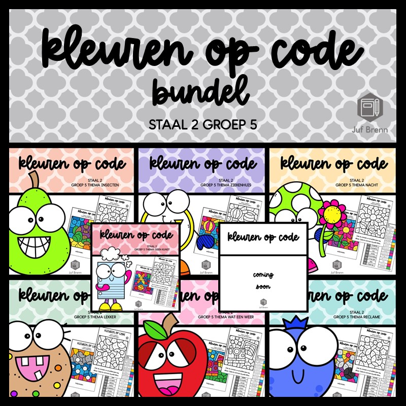 STAAL 2 WOORDENSCHAT KLEUREN OP CODE (GROEI)BUNDEL GROEP 5