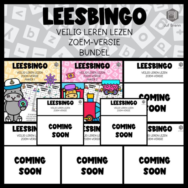 LEESBINGO VEILIG LEREN LEZEN ZOEM (GROEI)BUNDEL