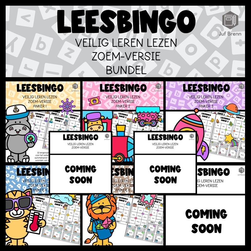 LEESBINGO VEILIG LEREN LEZEN ZOEM (GROEI)BUNDEL