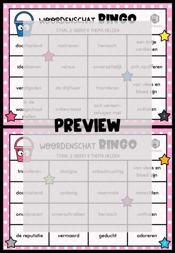 STAAL 2 WOORDENSCHATBINGO GROEP 8 THEMA HELDEN - Afbeelding 2