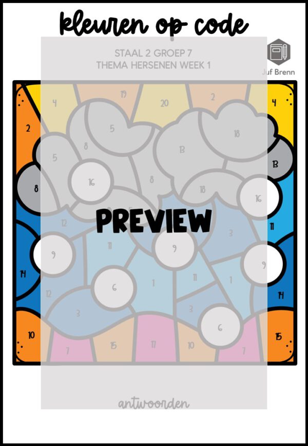 STAAL 2 WOORDENSCHAT KLEUREN OP CODE GROEP 7 THEMA HERSENEN - Afbeelding 4