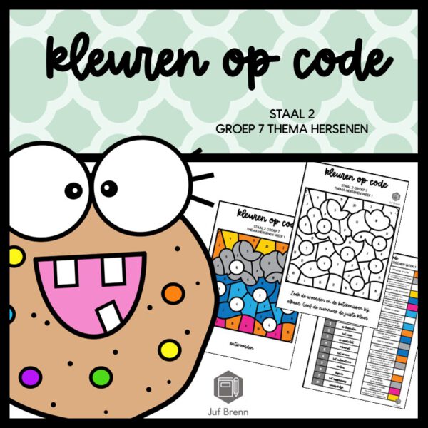 STAAL 2 WOORDENSCHAT KLEUREN OP CODE GROEP 7 THEMA HERSENEN