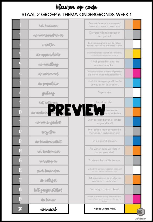STAAL 2 WOORDENSCHAT KLEUREN OP CODE GROEP 6 THEMA ONDERGRONDS - Afbeelding 3