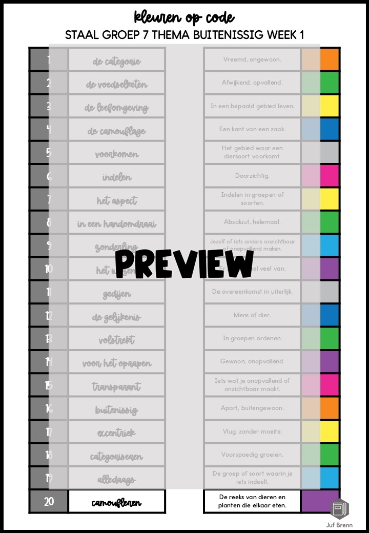 STAAL 2 WOORDENSCHAT KLEUREN OP CODE GROEP 7 THEMA BUITENISSIG - Afbeelding 3