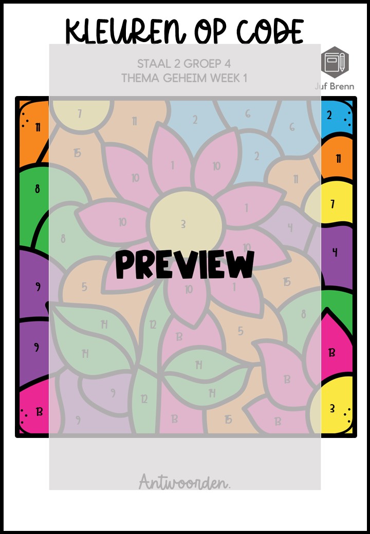 STAAL 2 WOORDENSCHAT KLEUREN OP CODE GROEP 4 THEMA GEHEIM - Afbeelding 4