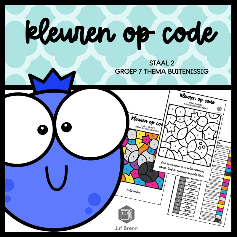 STAAL 2 WOORDENSCHAT KLEUREN OP CODE GROEP 7 THEMA BUITENISSIG