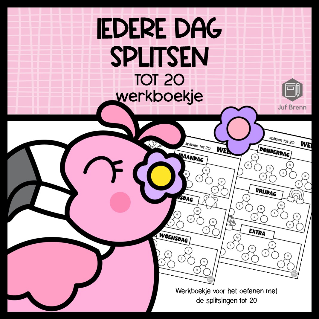WERKBOEKJE: IEDERE DAG SPLITSEN TOT 20