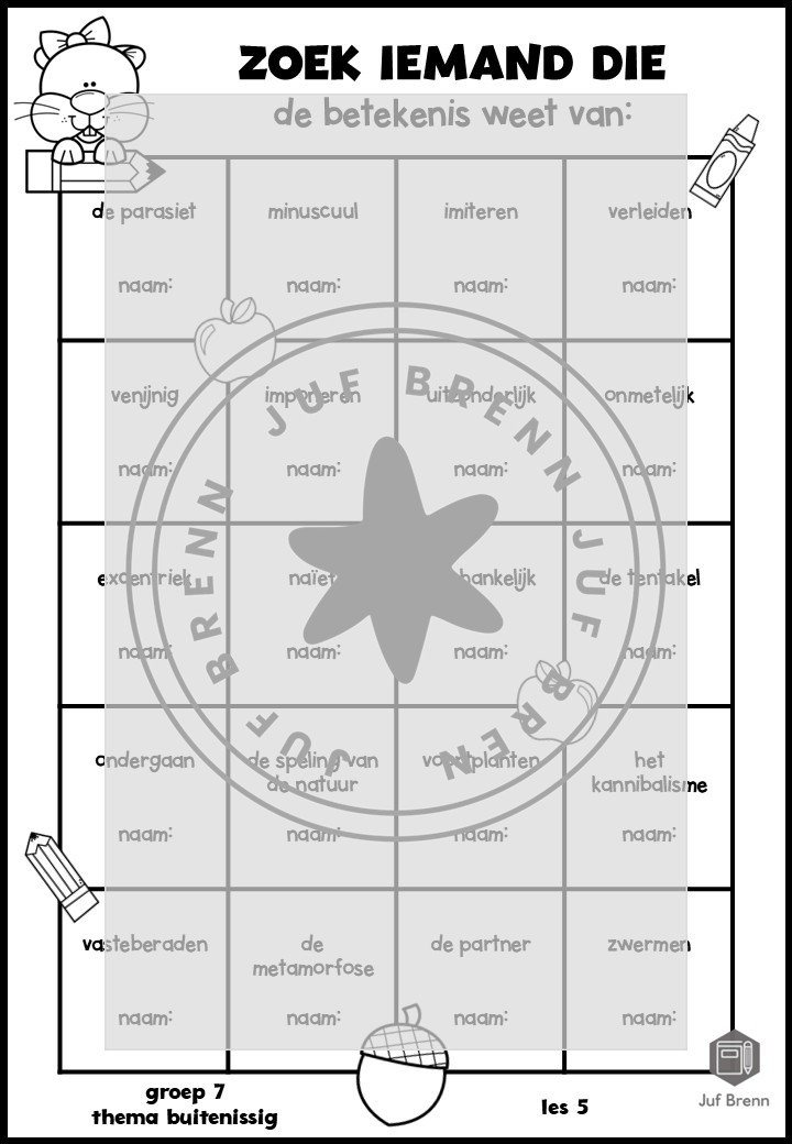 STAAL 1 WOORDENSCHAT ZOEK IEMAND DIE GROEP 7 THEMA BUITENISSIG - Afbeelding 2