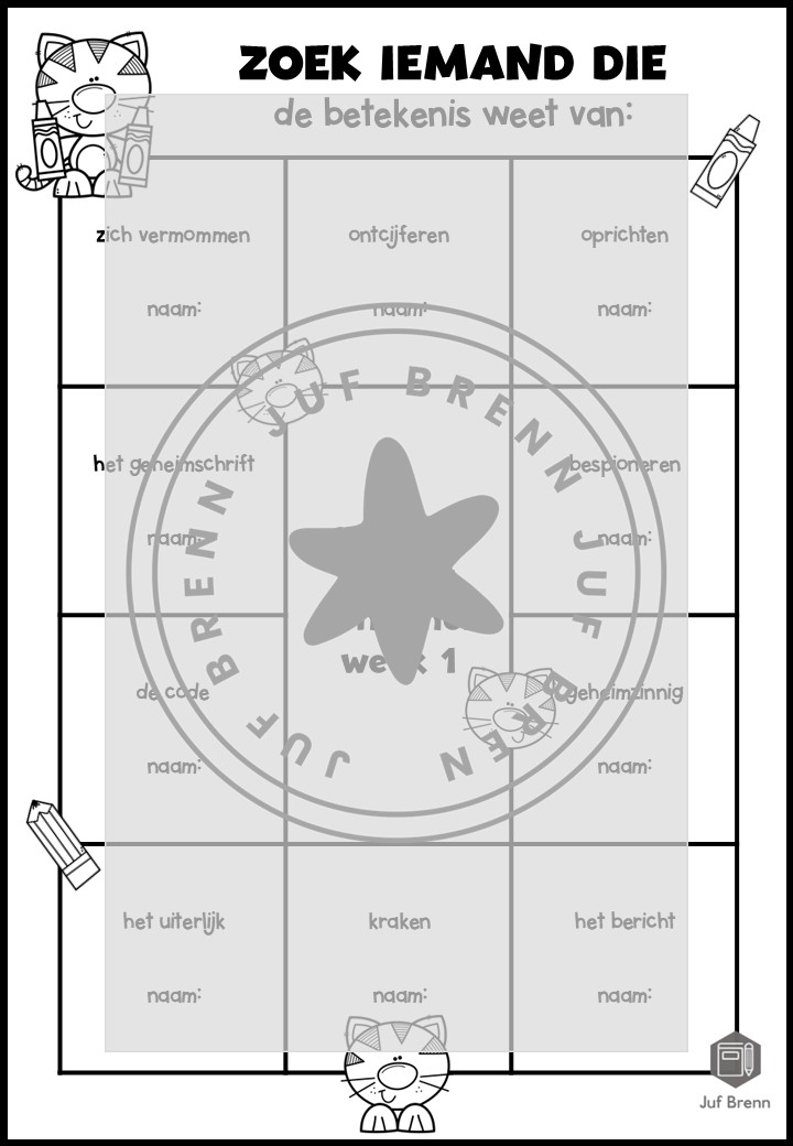 STAAL 1 WOORDENSCHAT ZOEK IEMAND DIE GROEP 5 THEMA GEHEIMEN - Afbeelding 2