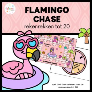 FLAMINGO CHASE: REKENREKKEN TOT 20