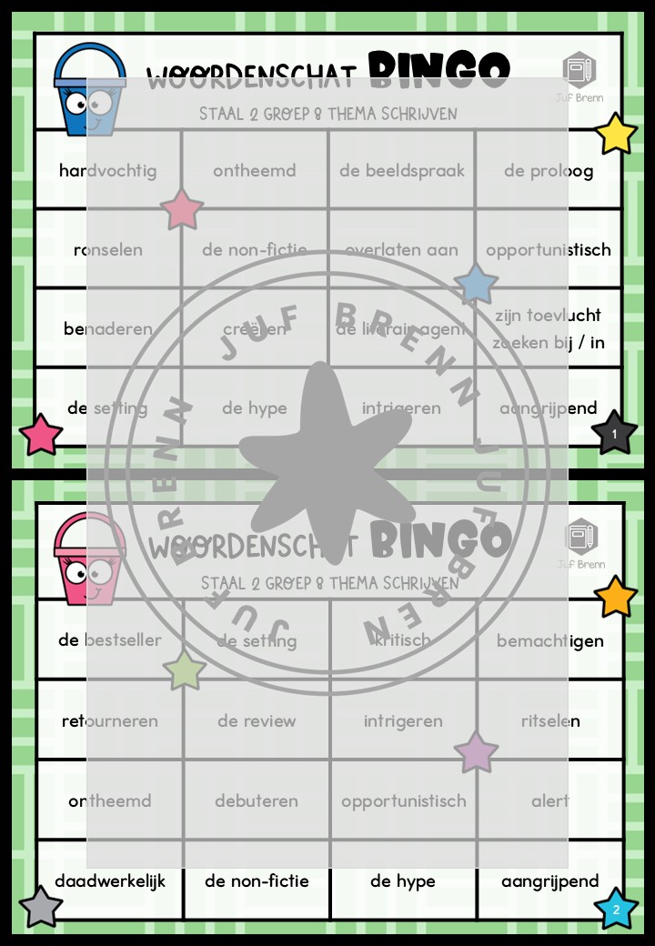 STAAL 2 WOORDENSCHATBINGO GROEP 8 THEMA SCHRIJVEN - Afbeelding 2