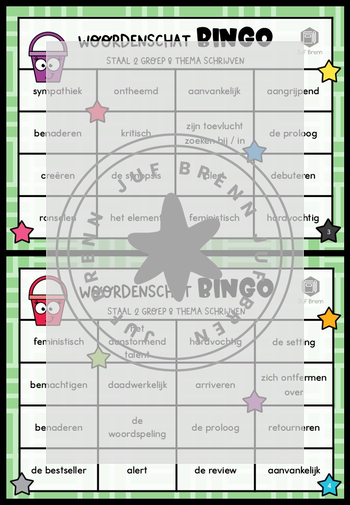 STAAL 2 WOORDENSCHATBINGO GROEP 8 THEMA SCHRIJVEN - Afbeelding 3