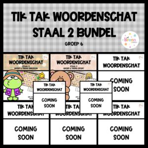 STAAL 2 TIK TAK WOORDENSCHAT (GROEI) BUNDEL GROEP 6