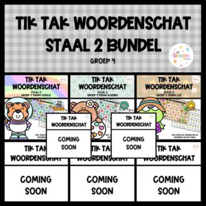 STAAL 2 TIK TAK WOORDENSCHAT (GROEI)BUNDEL GROEP 4