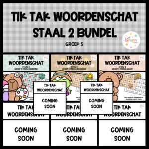 STAAL 2 TIK TAK WOORDENSCHAT (GROEI)BUNDEL GROEP 5