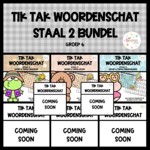 STAAL 2 TIK TAK WOORDENSCHAT (GROEI) BUNDEL GROEP 6