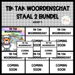STAAL 2 TIK TAK WOORDENSCHAT (GROEI)BUNDEL GROEP 4