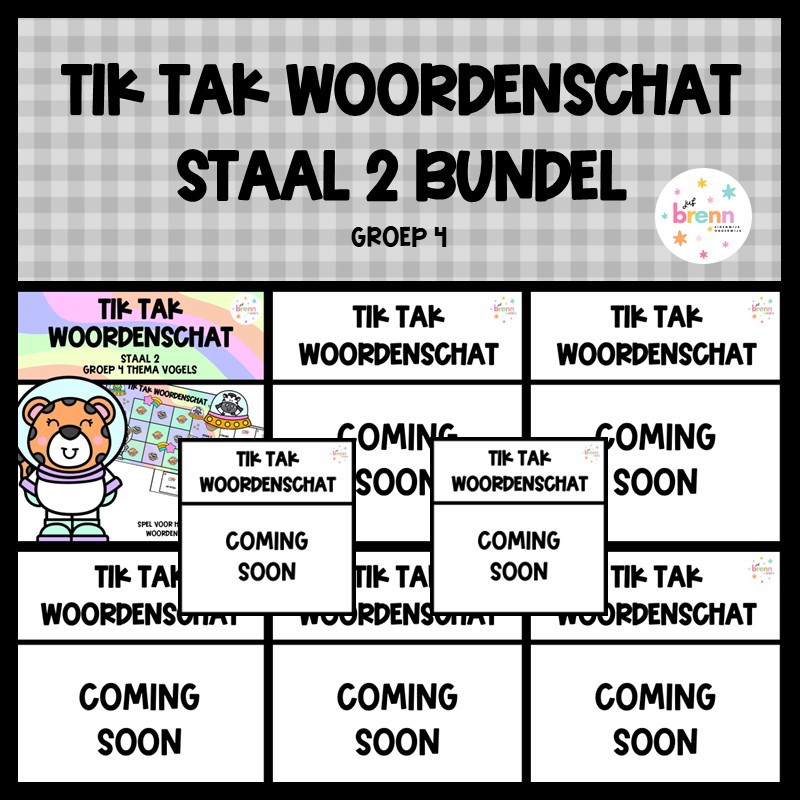 STAAL 2 TIK TAK WOORDENSCHAT (GROEI)BUNDEL GROEP 4