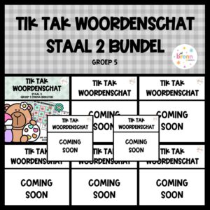 STAAL 2 TIK TAK WOORDENSCHAT (GROEI)BUNDEL GROEP 5