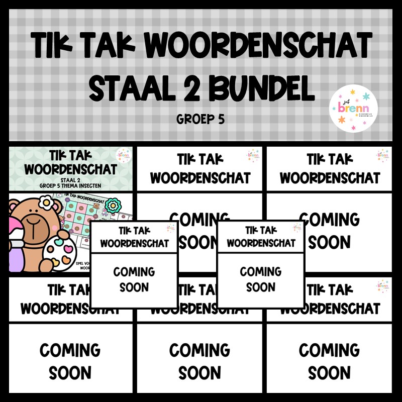 STAAL 2 TIK TAK WOORDENSCHAT (GROEI)BUNDEL GROEP 5
